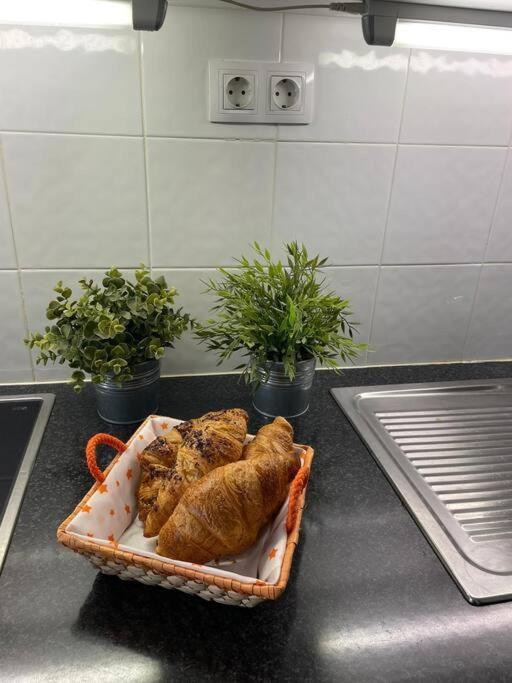 Puskas Apartman 코스타 데 안티과 외부 사진